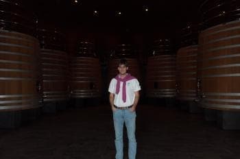 Barricas de vino. Son enormes